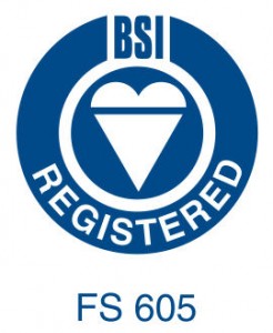 BSI_LOGOa