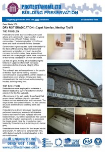 Download Capel Aberfan Case Study