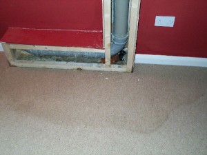 Protectahome Leaking Pipe Protectahome - Leaking Pipe