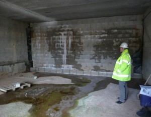 Penetrating Damp Protectahome Surveyor
