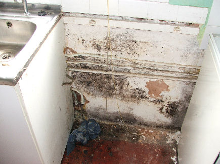 Protectahome Damp Plaster Investigation