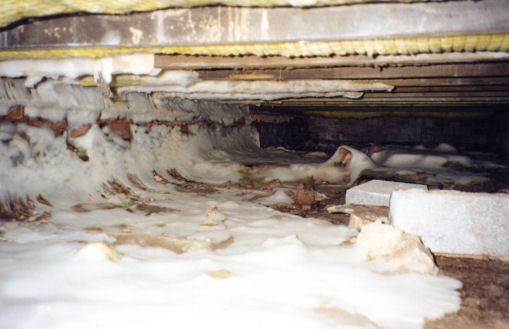 Protectahome Dry Rot in Subfloor Void