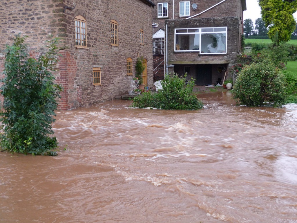 Protectahome Flood Mitigation