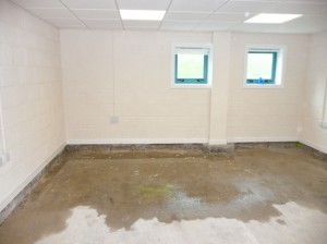 Flooded Basement