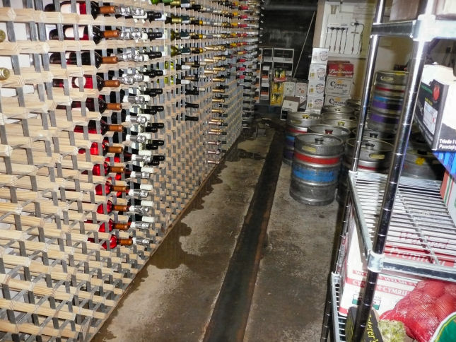 Protectahome Flooded Cellar