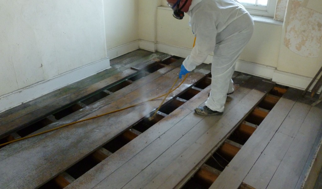 Protectahome Woodworm Treatment Protectahome Woodworm Treatment