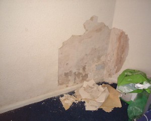 Protectahome Rising Damp Protectahome - Rising Damp