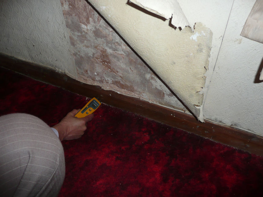 Protectahome Damp Survey