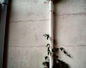 Protectahome Horizontal Cracking