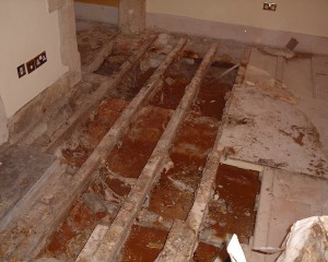 Protectahome - Dry Rot Repair Needed Protectahome - Dry Rot Repair Needed ©