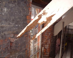 Protectahome - Dry Rot in Roof Truss Protectahome - Dry Rot in Roof Truss