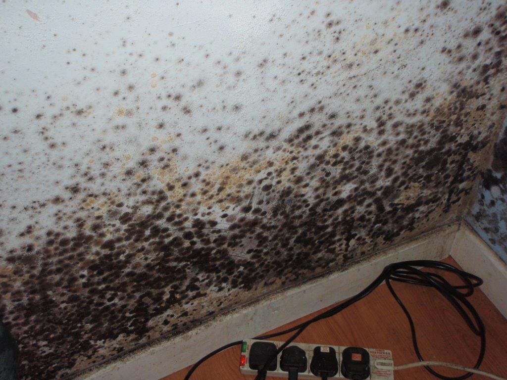 Mould Growth due to Condensation to Wall Surface