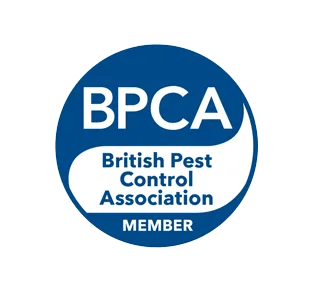 BPCA