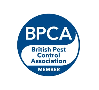 BPCA