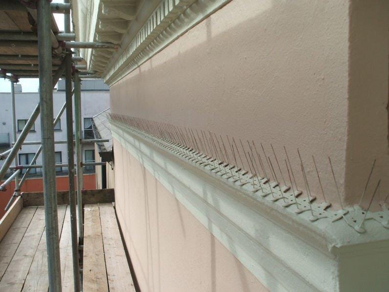 Bird Spikes Installed to Commerical Property