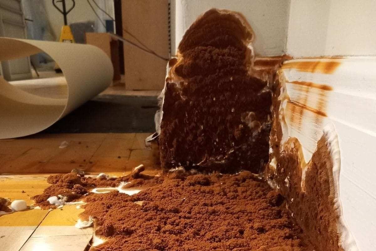 Dry rot on the bottom of the corner of a wall.