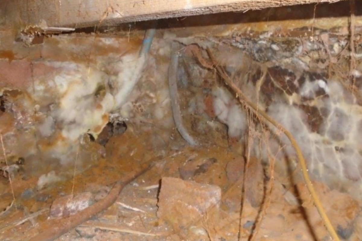 Dry rot deep within housing structure.