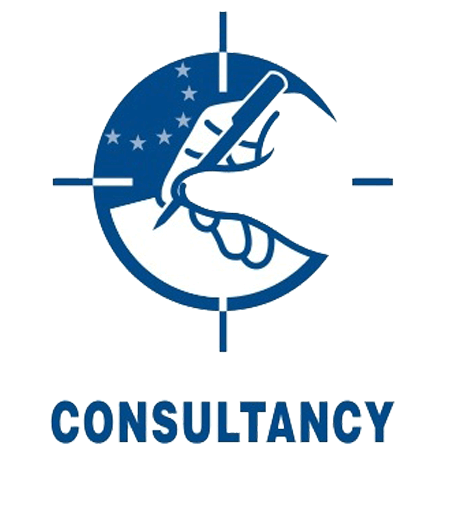 CONSULTANCY-ICON-&-TYPE-IN-BLUE