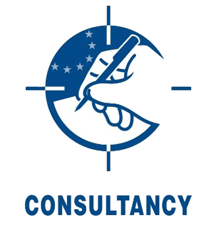 CONSULTANCY-ICON-&-TYPE-IN-BLUE