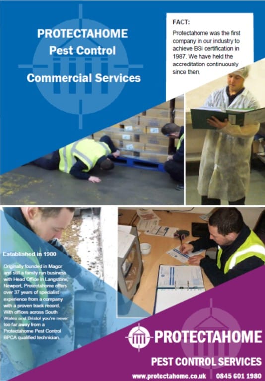 Commercial Pest Control Services