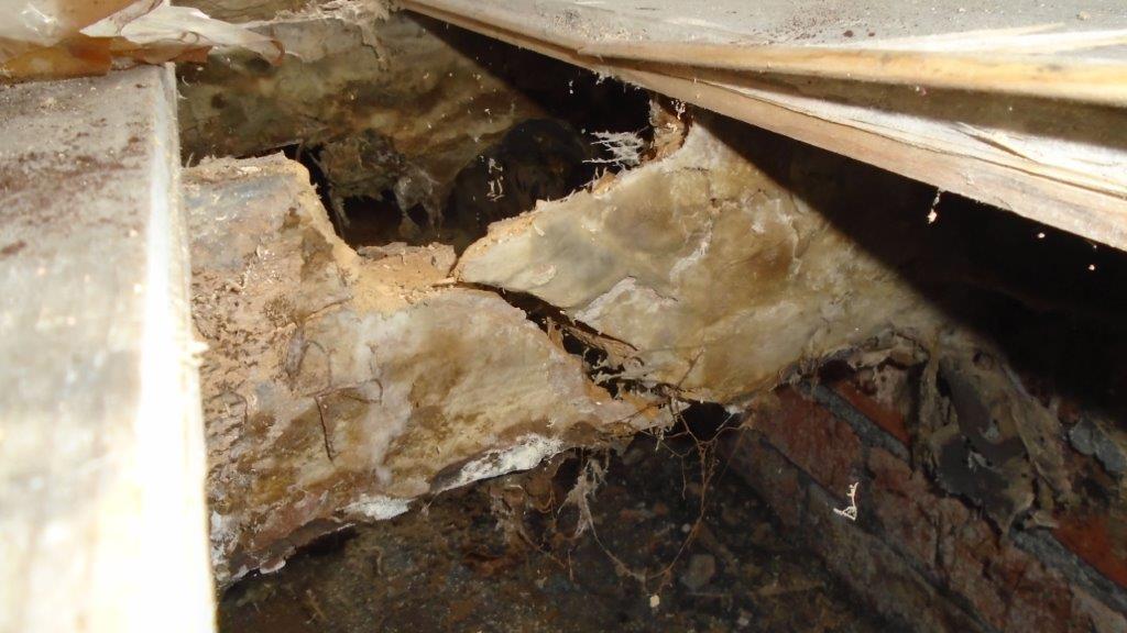 Dry Rot Cardiff