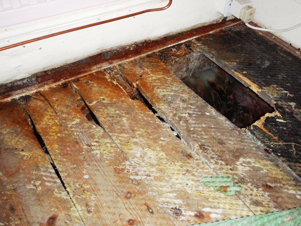 Catastophic Dry Rot attack in flooring timbers.