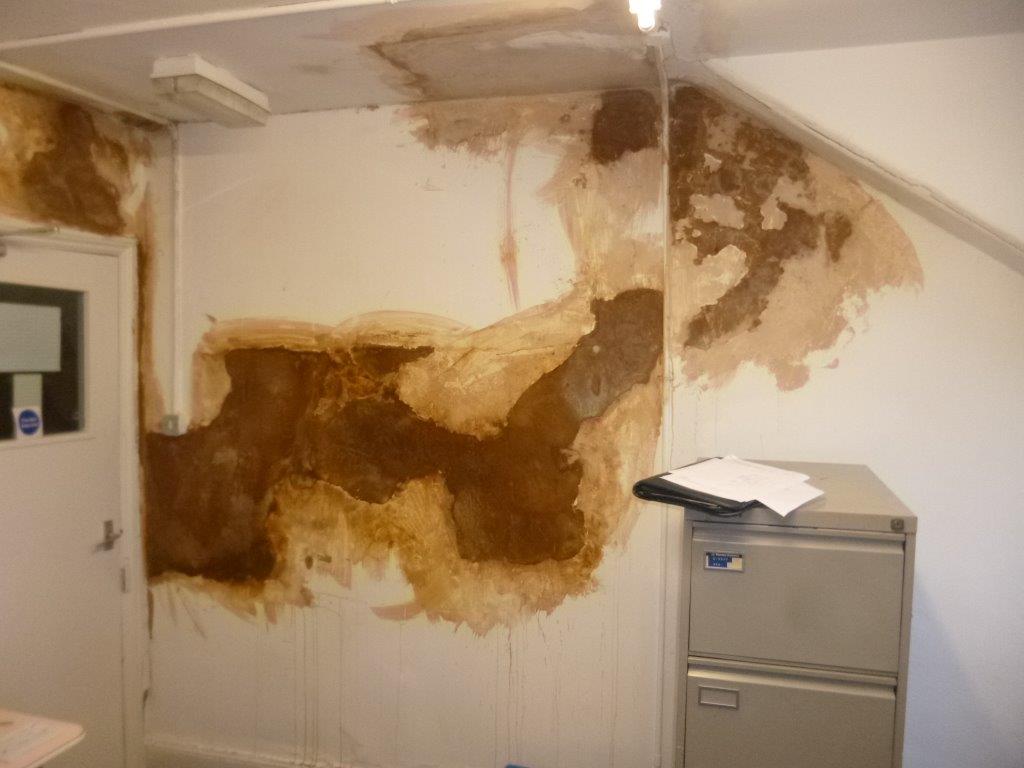 Damp Plaster - Protectahome - Specialist Damp Proofing Solutions