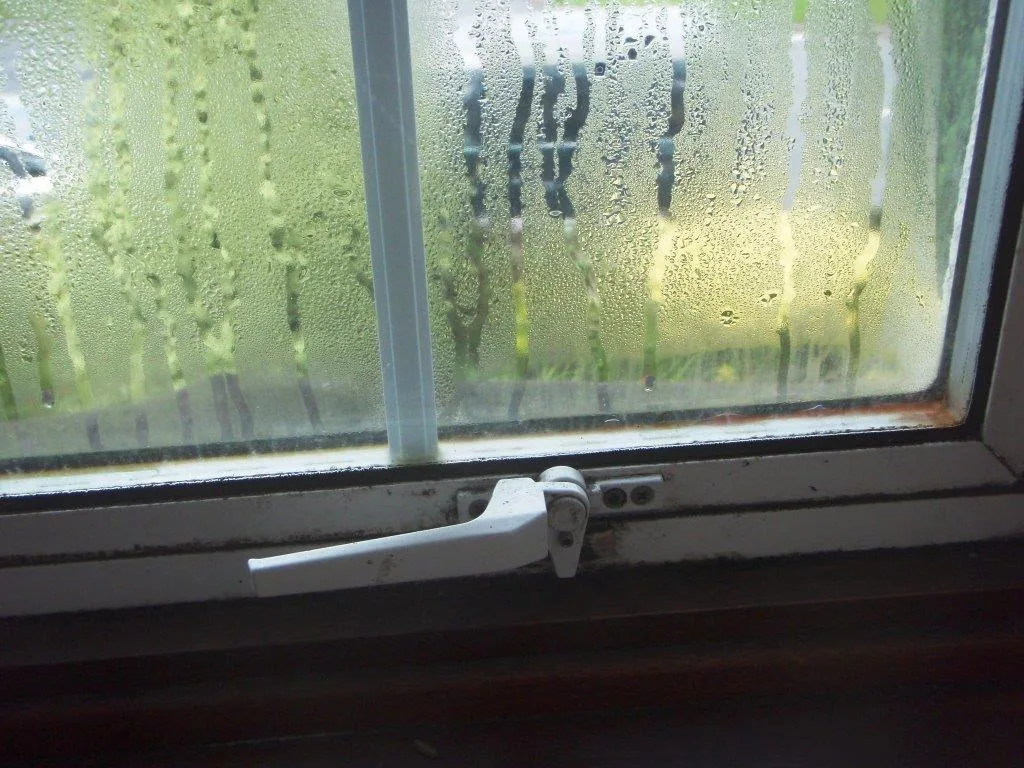 Drying Clothes Indoors is a Major Source of Water Vapour - Always Try and Dry Clothes Outside
