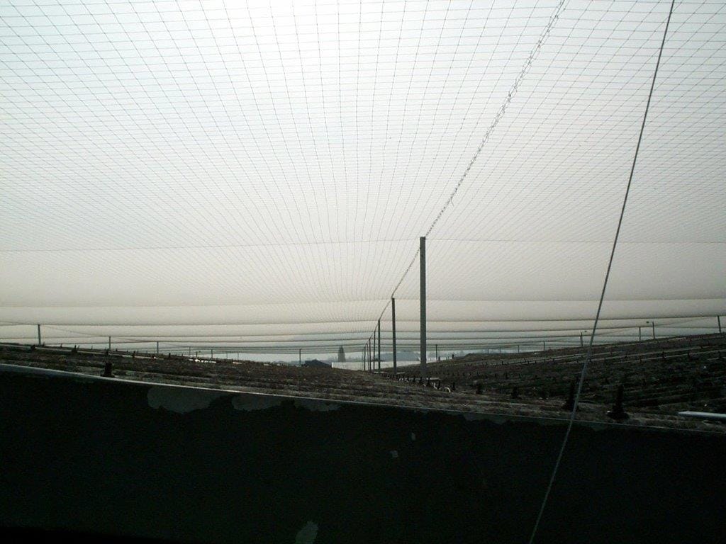 Large Scale Bird Netting Installation