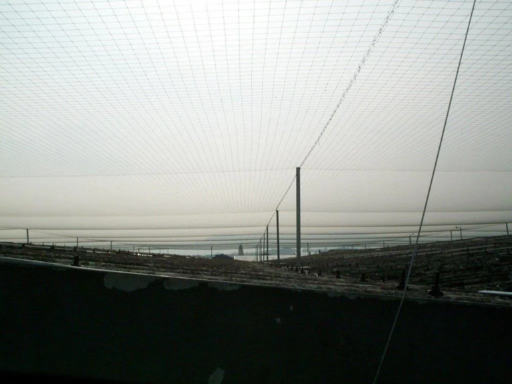 Large Scale Bird Netting Installation