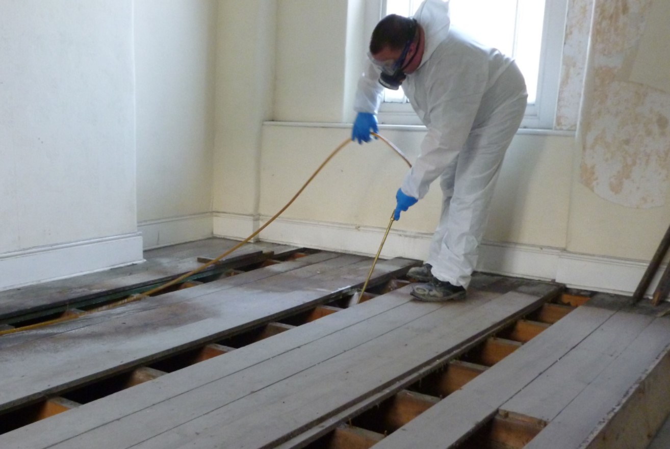 Woodworm Treatment undertaken by qualified and experienced technician.