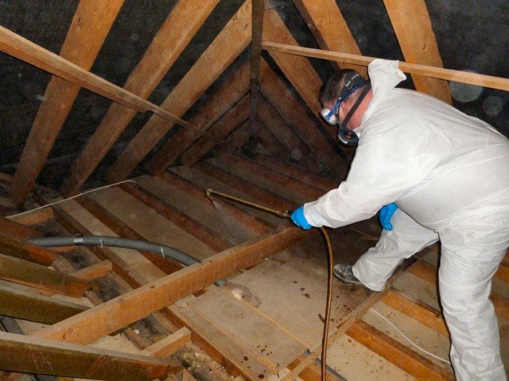 Protectahome Technician During Woodworm Timber Treatment Spraying