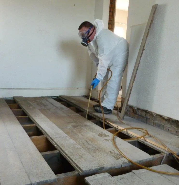 Protectahome Technician Undertaking Timber Spray Treatment