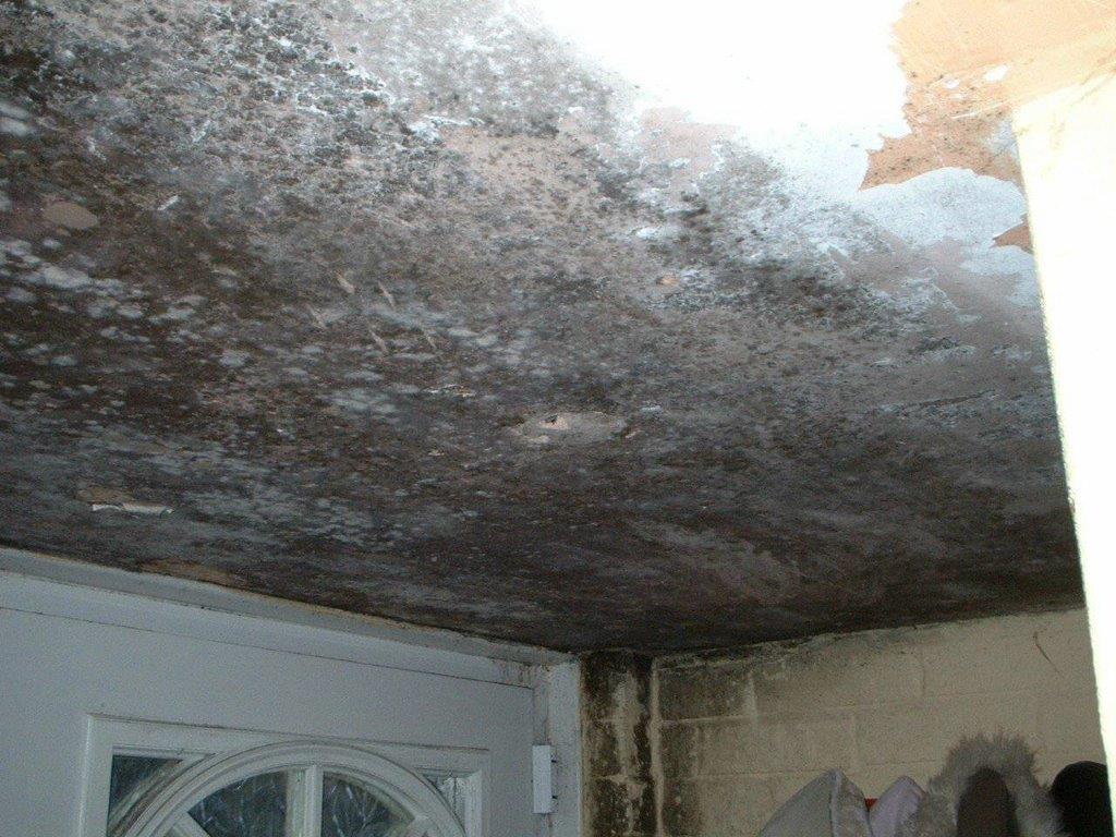 Severe Mould Growth Due to Condensation