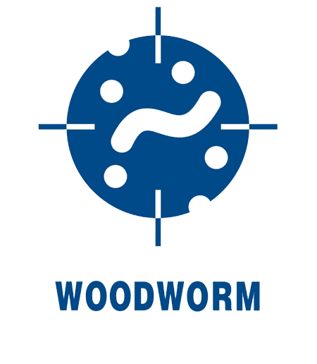 WOODWORM-ICON-&-TYPE-IN-BLUE