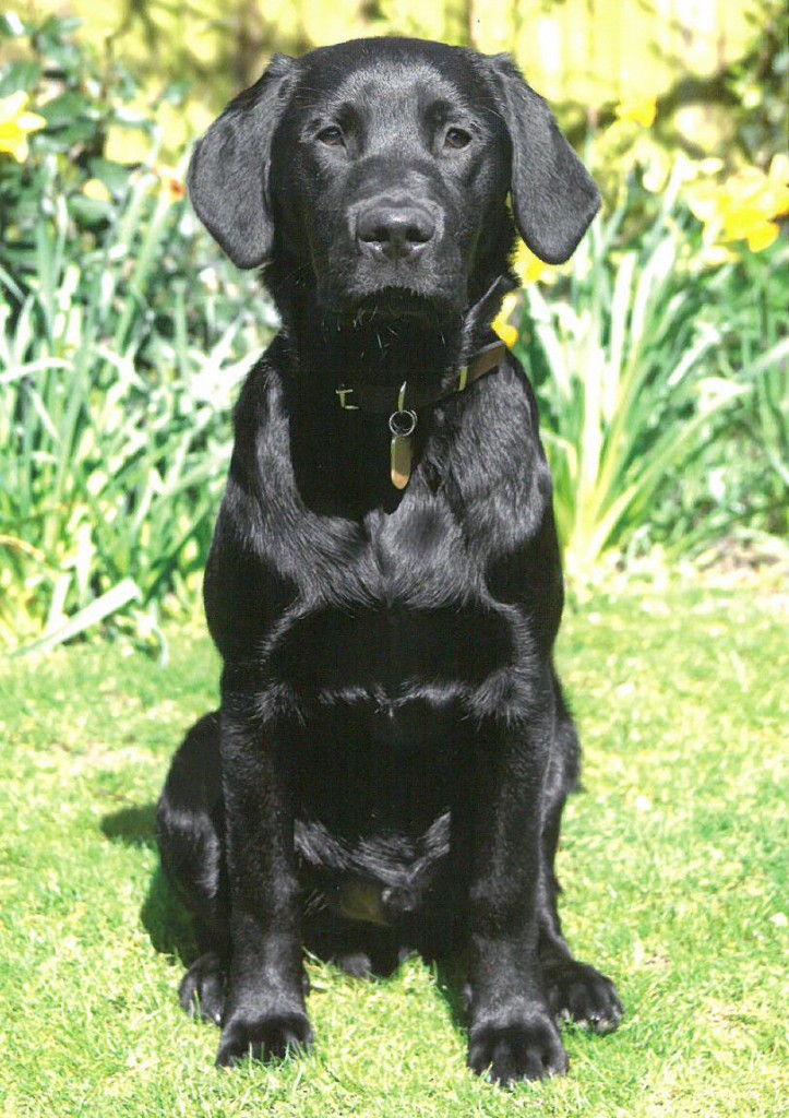 Isaac at 4 months old. Growing Fast!